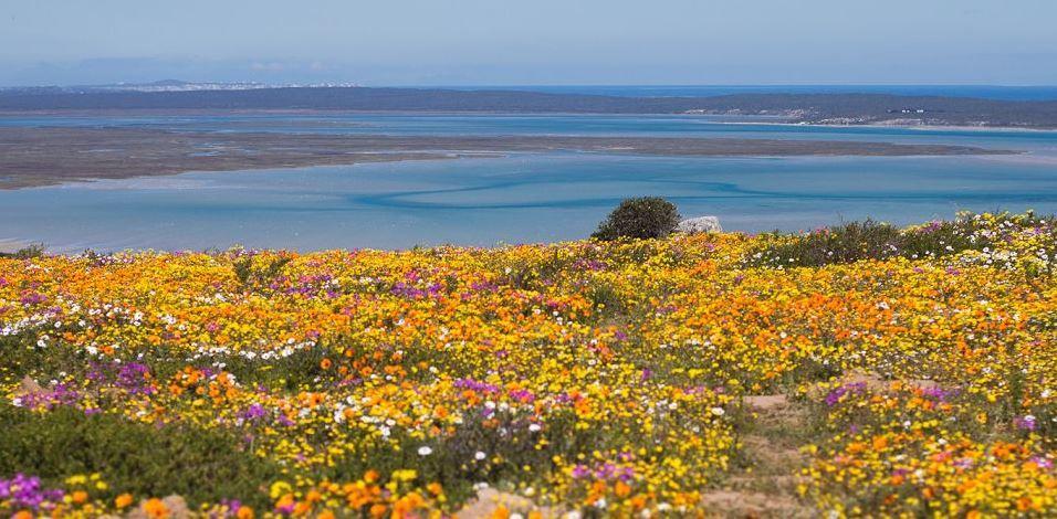 Malindila Apartment & House Langebaan Dış mekan fotoğraf